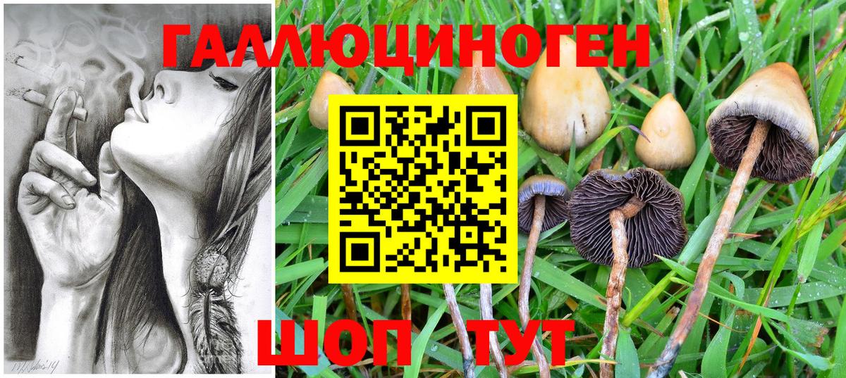 Псилоцибиновые грибы прущие грибы  Галлюциногенные грибы Psilocybe  Вход с VPN  Киреевск 