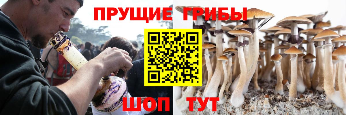 Псилоцибиновые грибы прущие грибы Киреевск